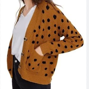 Madewell Hillview Cardigan Sweater in Painted Spots